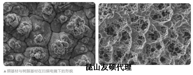 陵水蔡司陵水扫描电镜