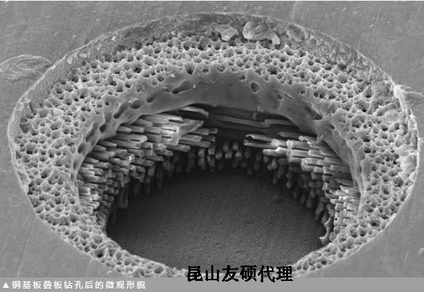 陵水蔡司陵水扫描电镜